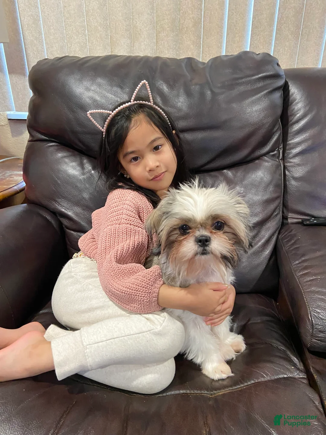 Gallery Image {{count}}