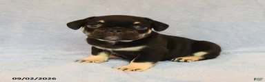 Tanker