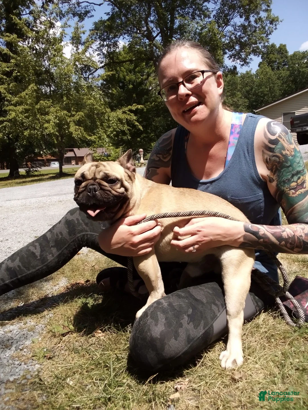 Gallery Image {{count}}