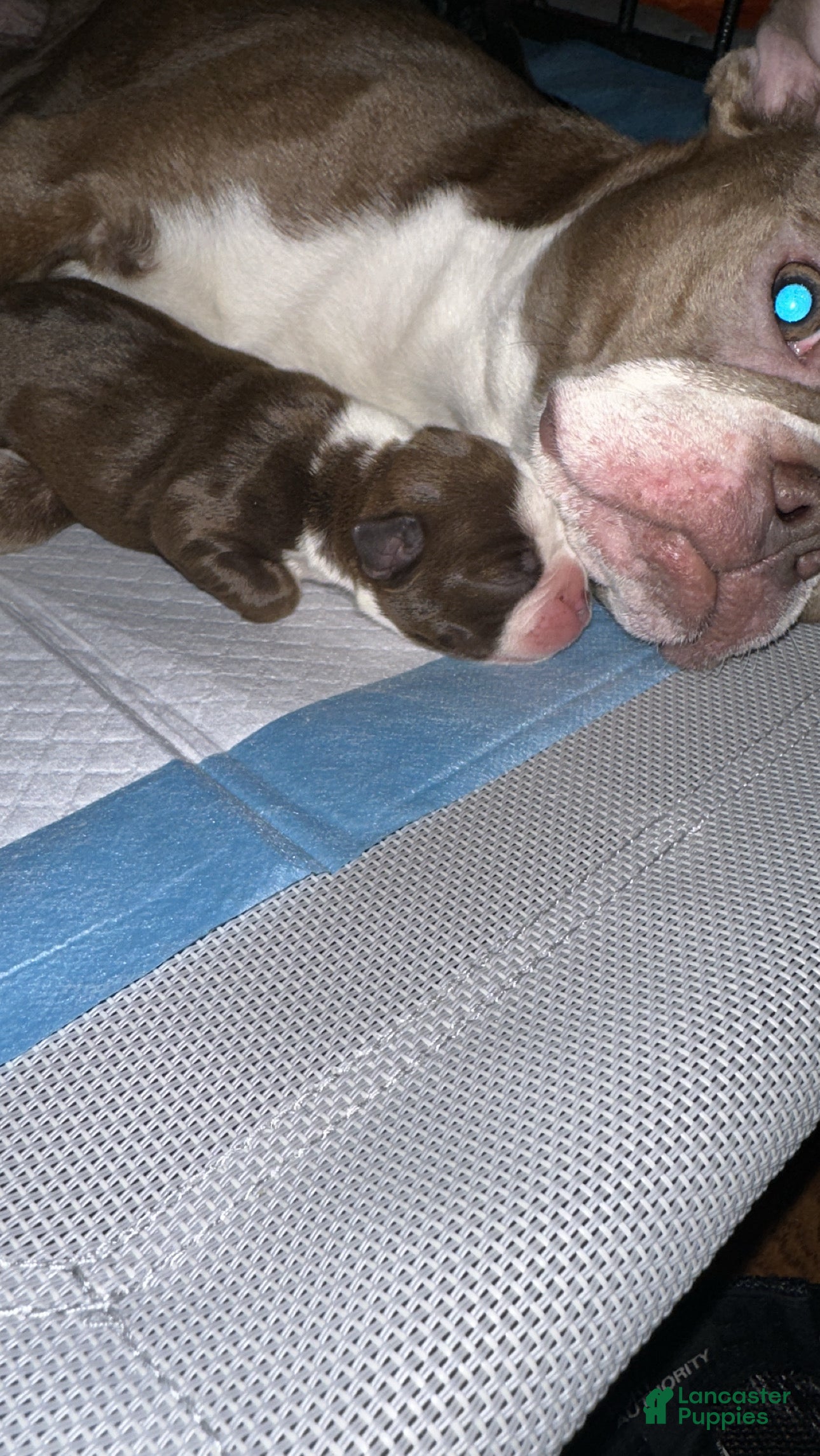 Tuesday