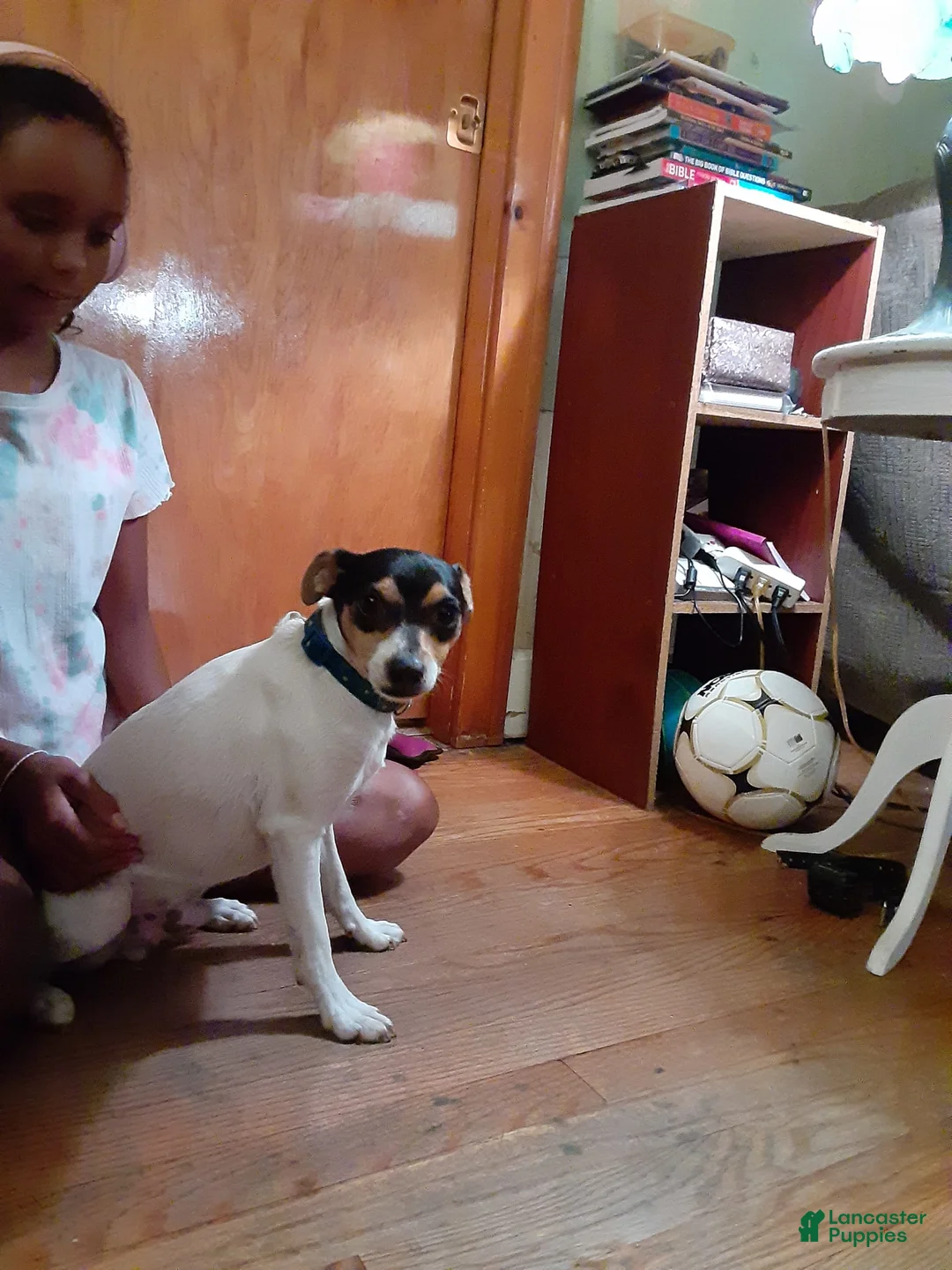 Gallery Image {{count}}