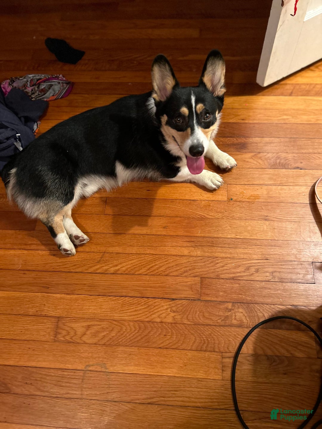 Gallery Image {{count}}