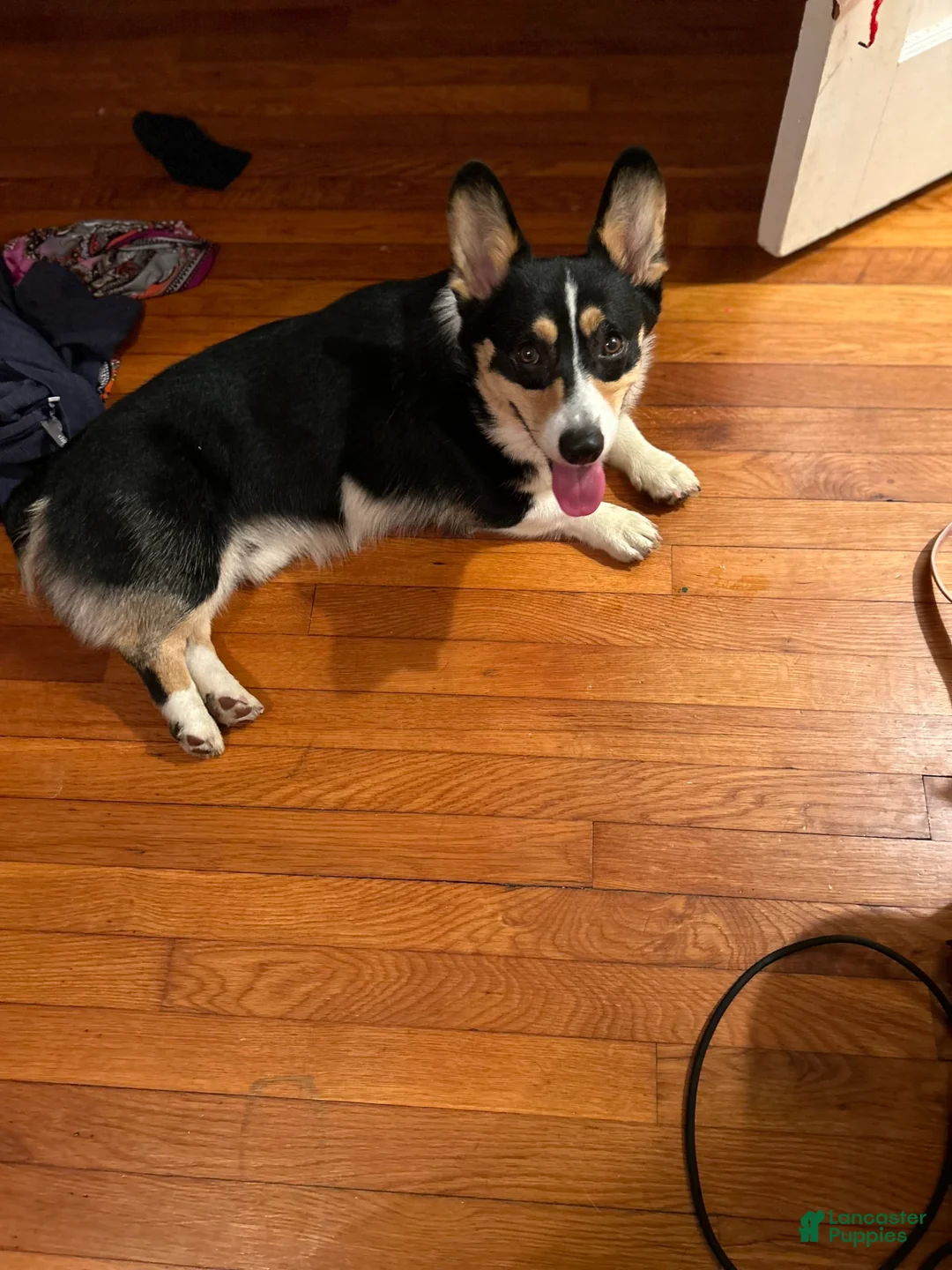 Gallery Image {{count}}