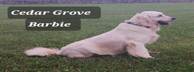 Cedar Grove Barbie 