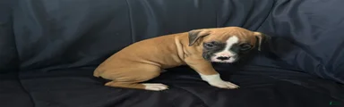 Tiny