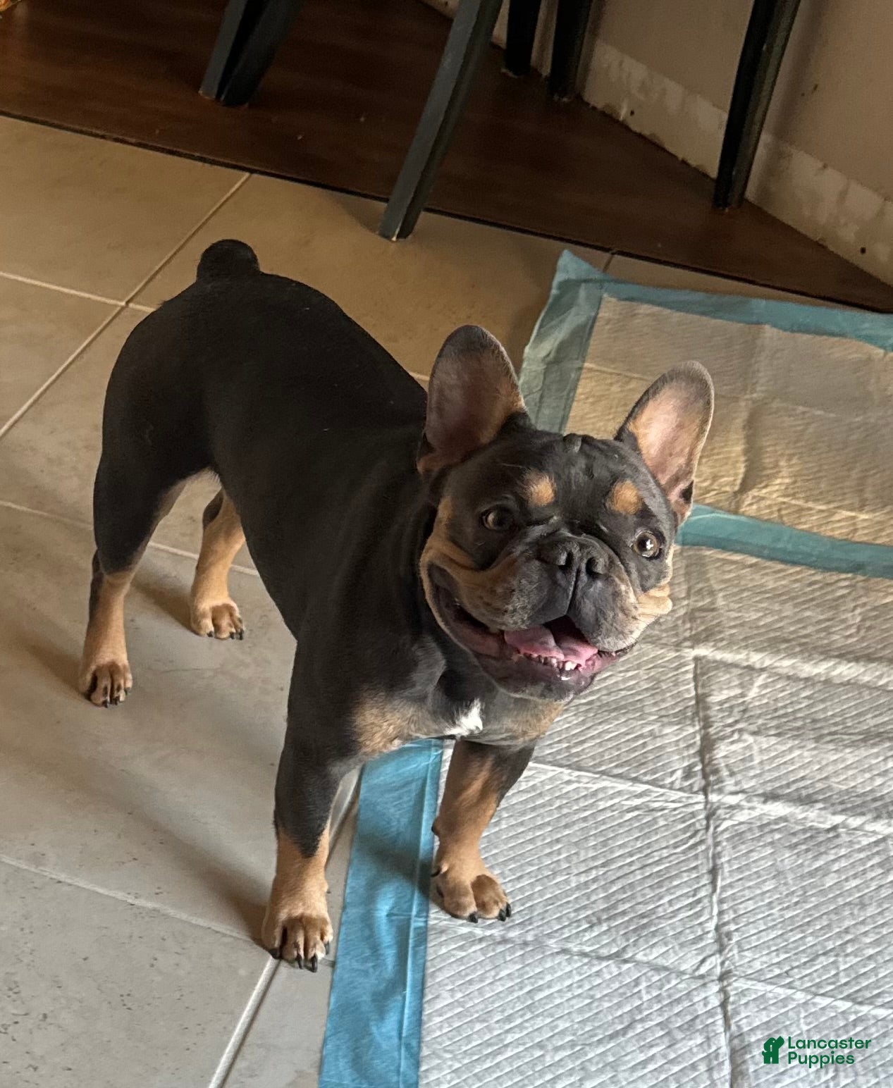 Charlie