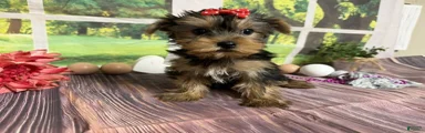 Lillian
