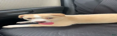 Pitsky 4