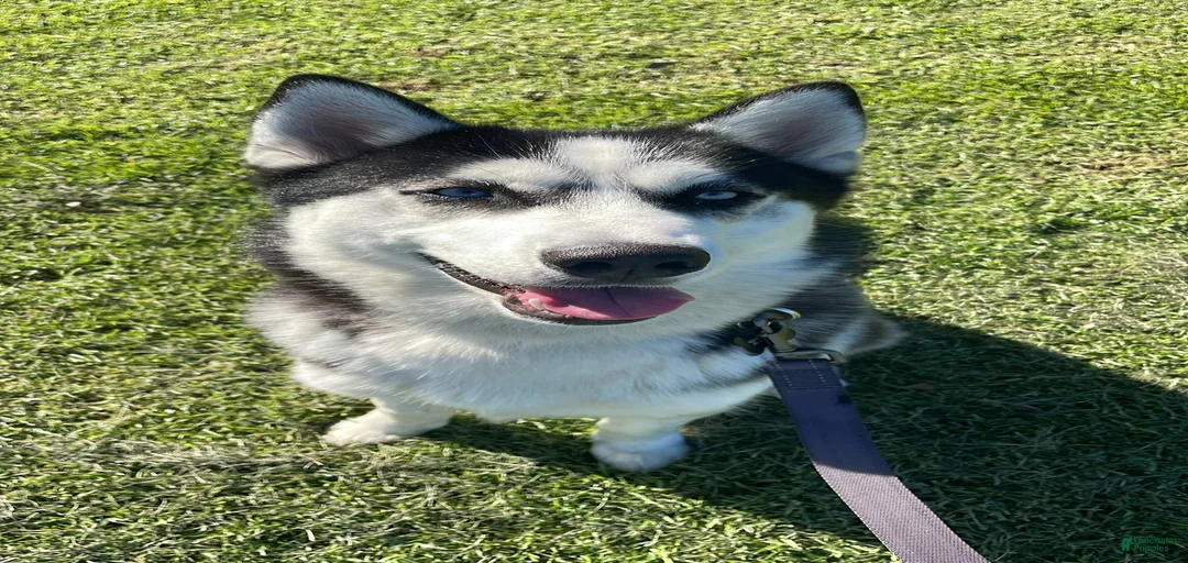 Gallery Image {{count}}