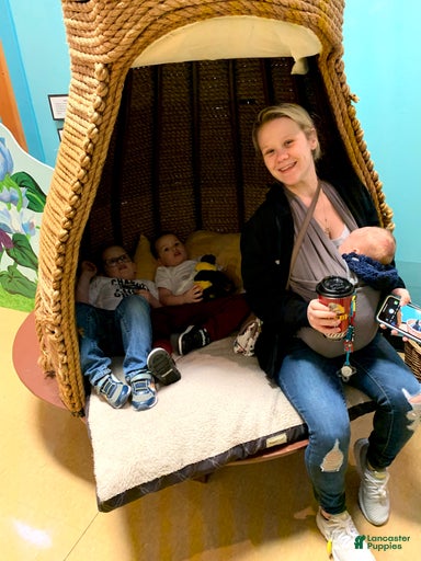 Gallery Image {{count}}