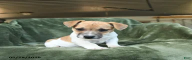 Edgar