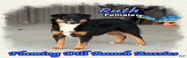 Ruth