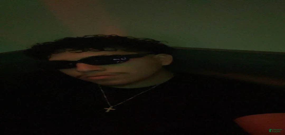 Gallery Image {{count}}