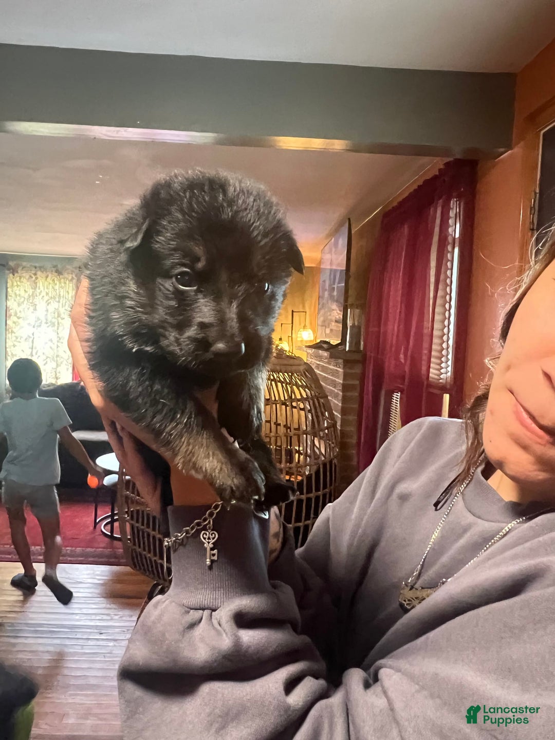 Gallery Image {{count}}