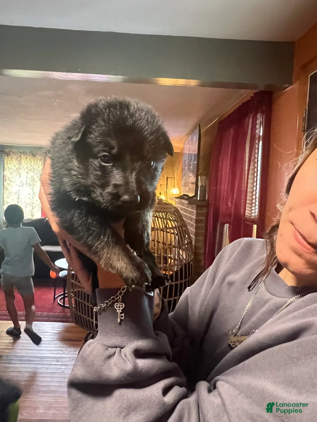 Gallery Image {{count}}