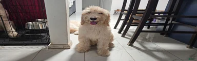 Maty
