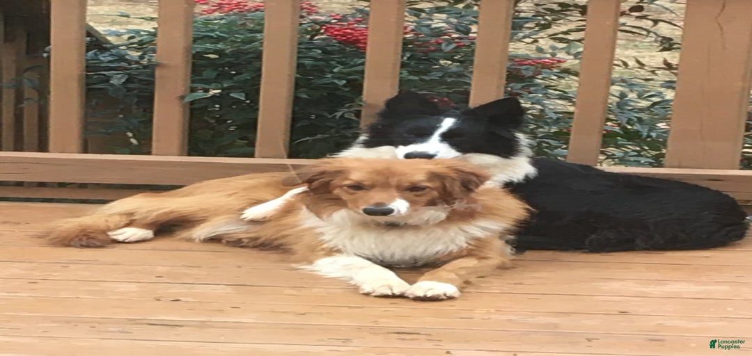 Gallery Image {{count}}