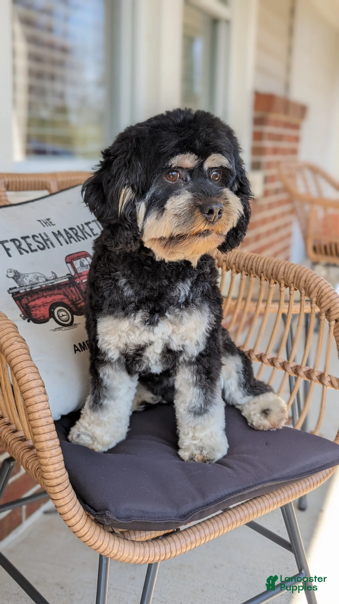 Gallery Image {{count}}