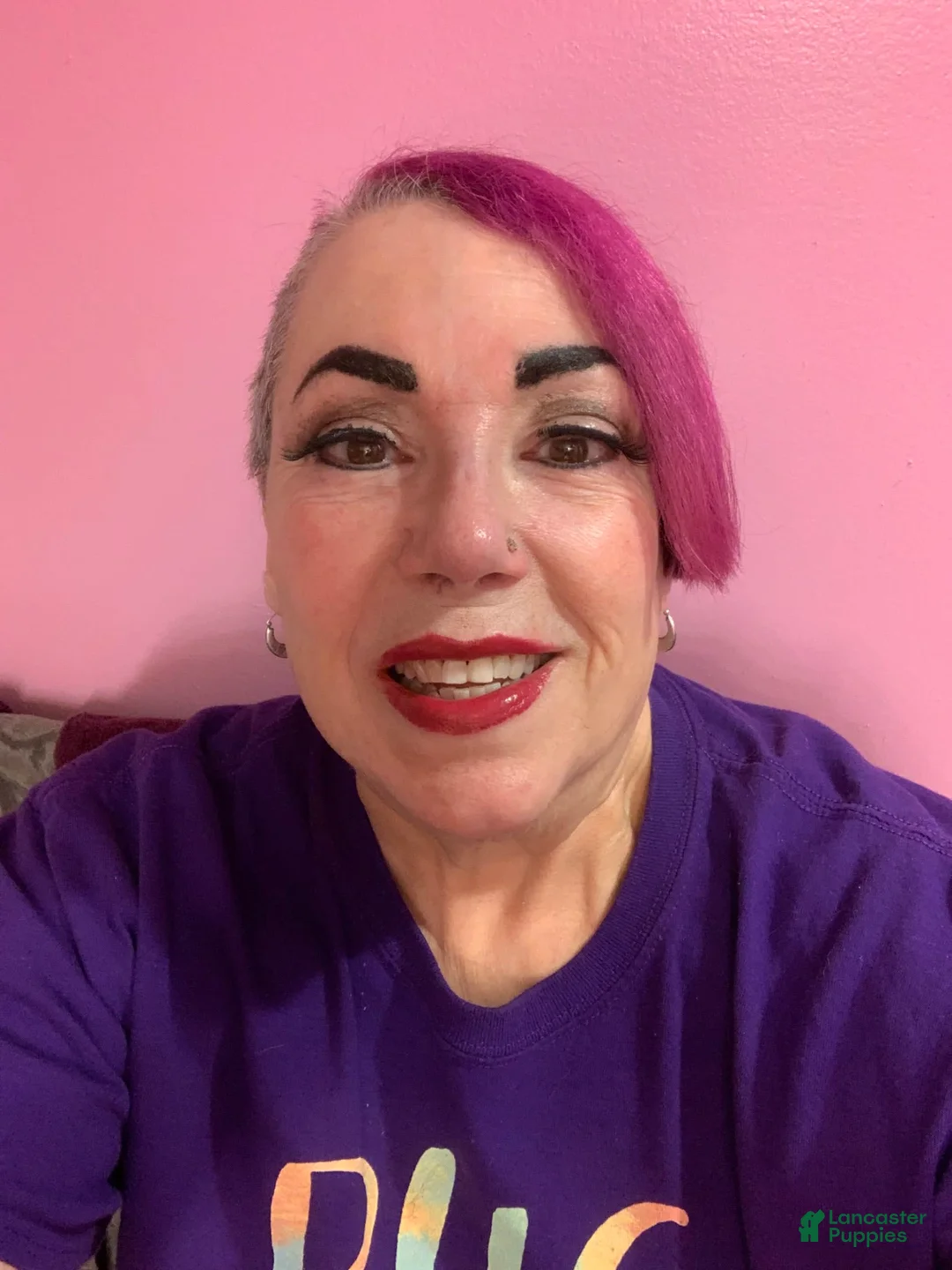 Gallery Image {{count}}