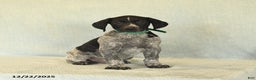 German Shorthaired Pointer dogs for sale: Tye - Ad 4