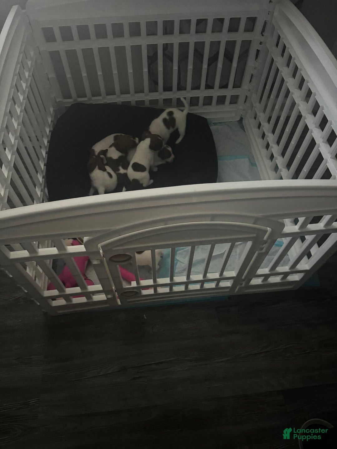 Gallery Image {{count}}