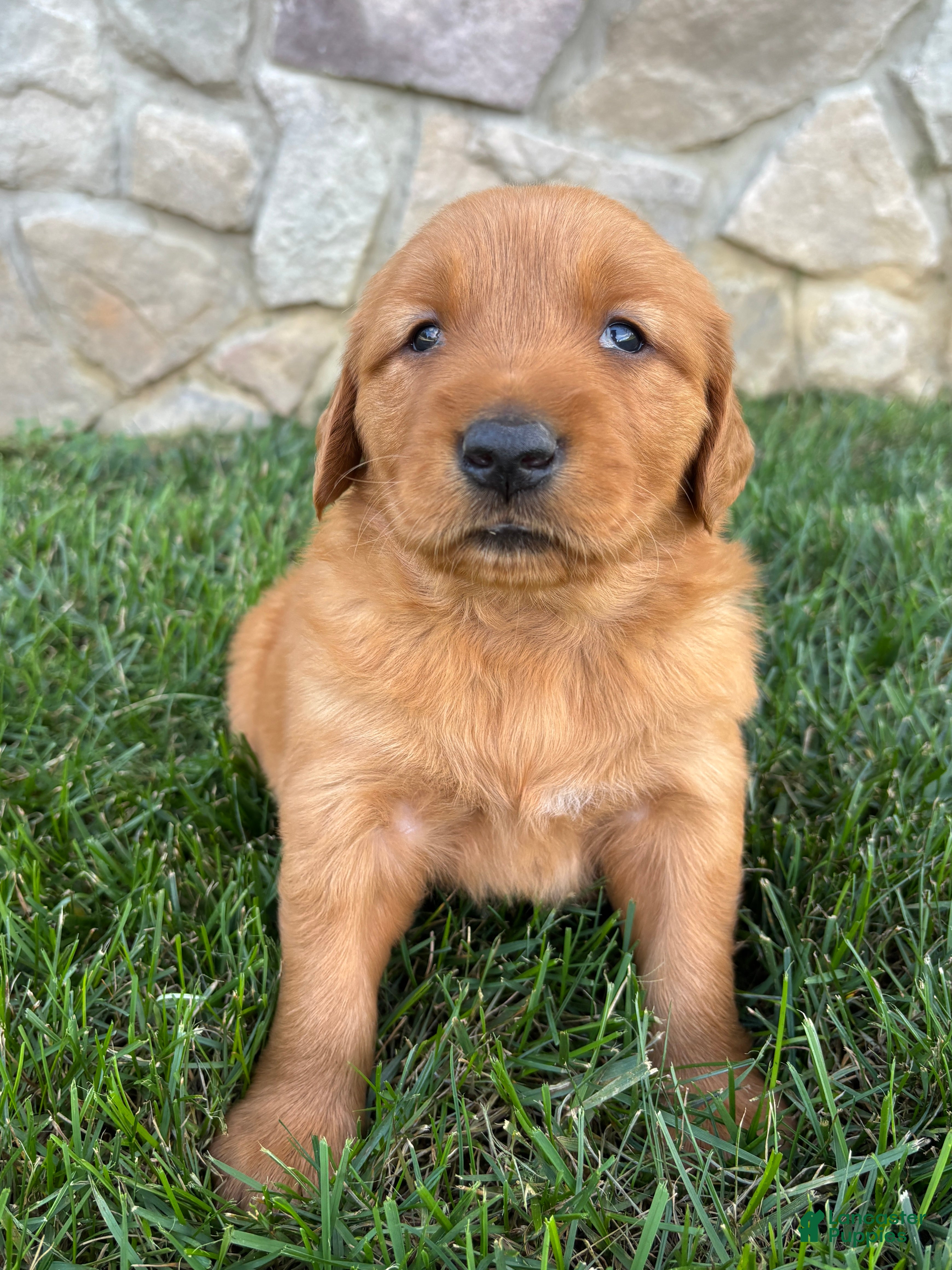 Rusty