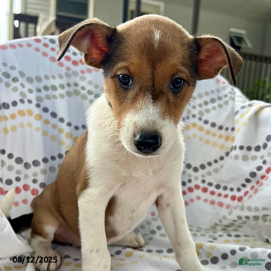 Gallery Image {{count}}