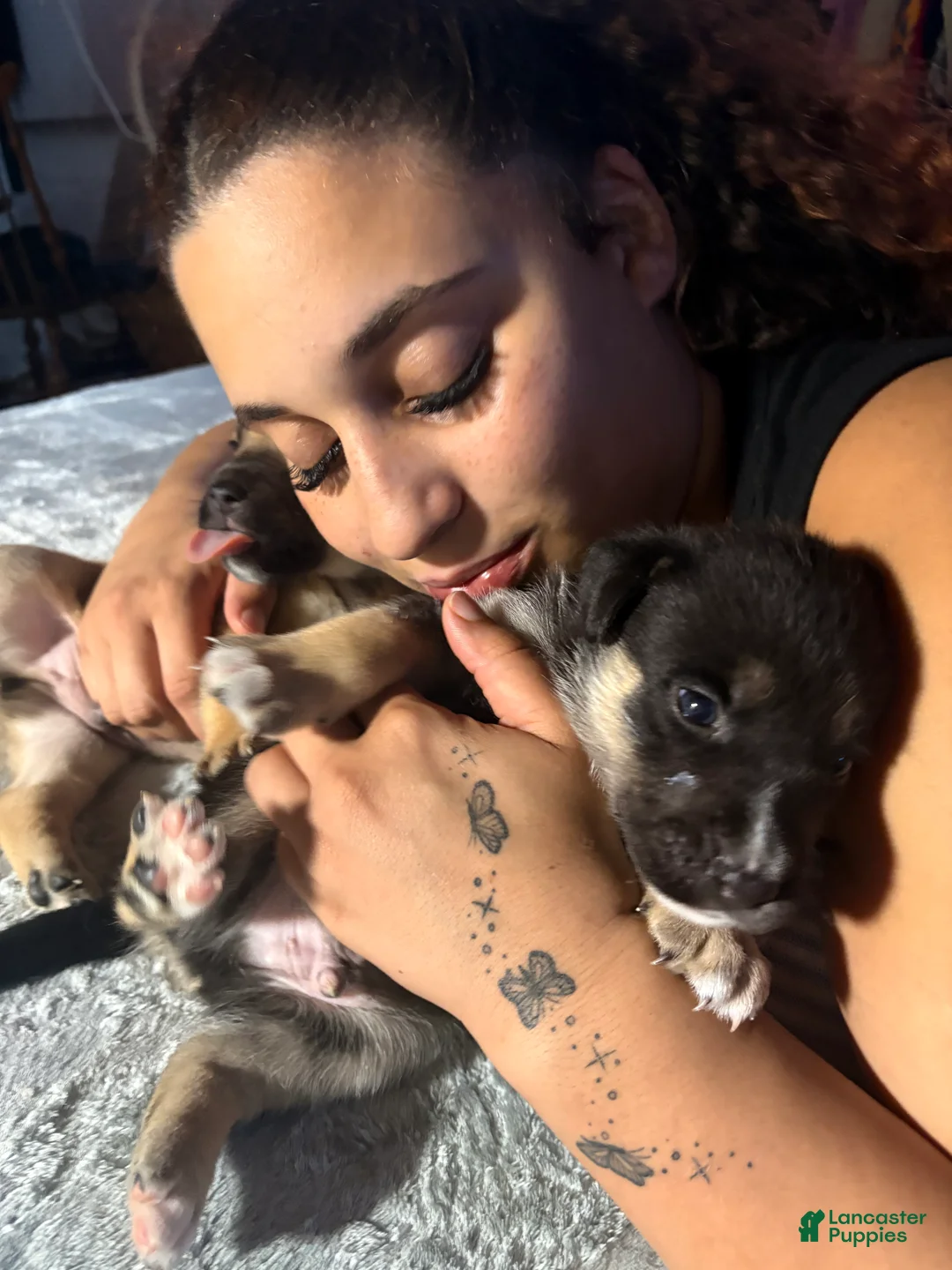 Gallery Image {{count}}