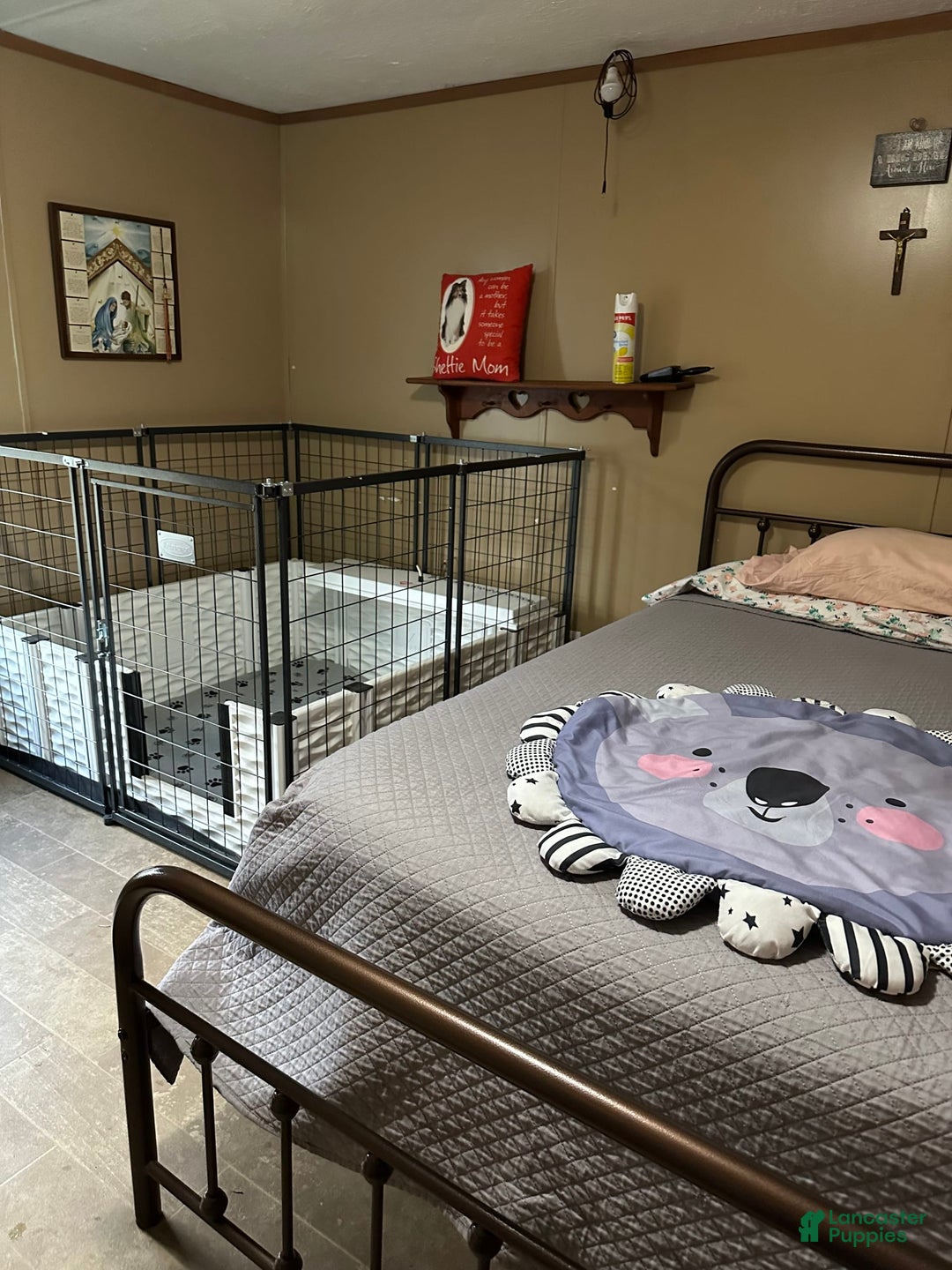 Gallery Image {{count}}