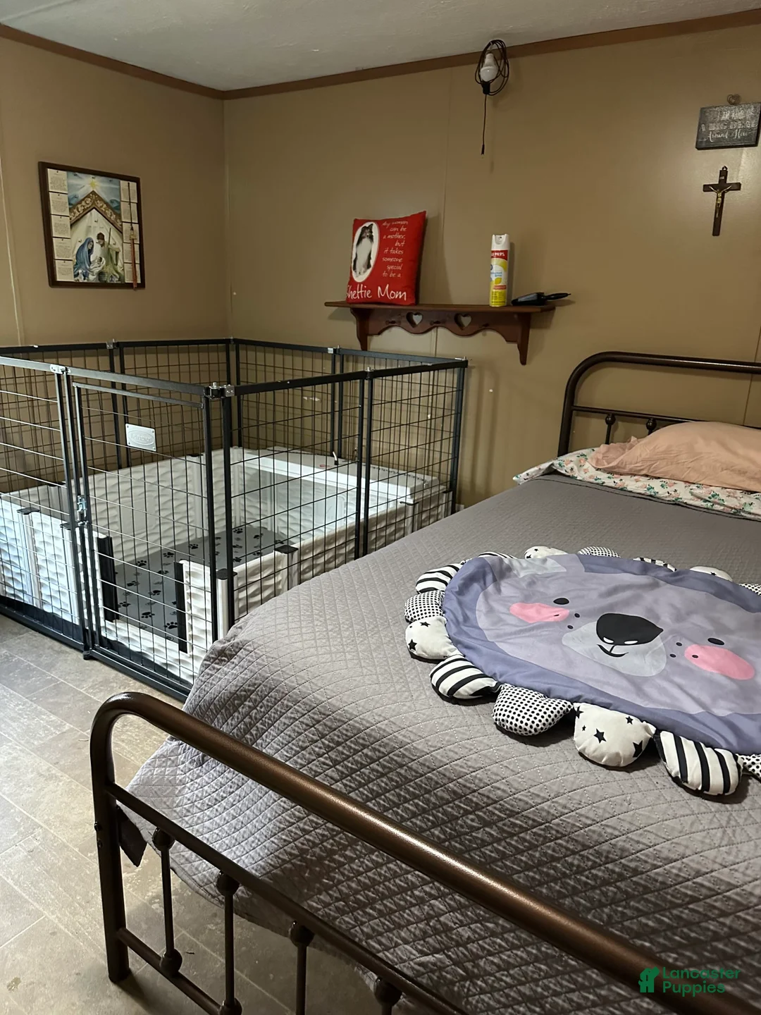 Gallery Image {{count}}