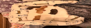 Dachshund 5