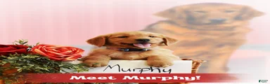 Murphy 