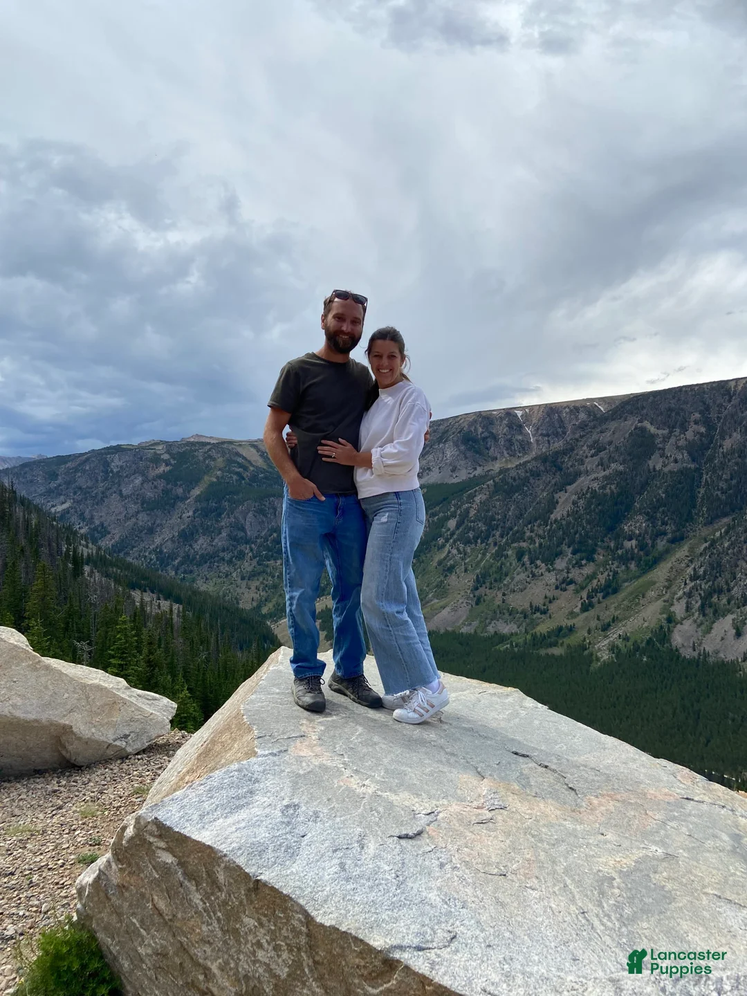 Gallery Image {{count}}