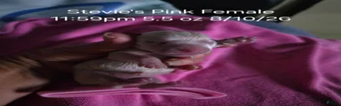 Pink Female