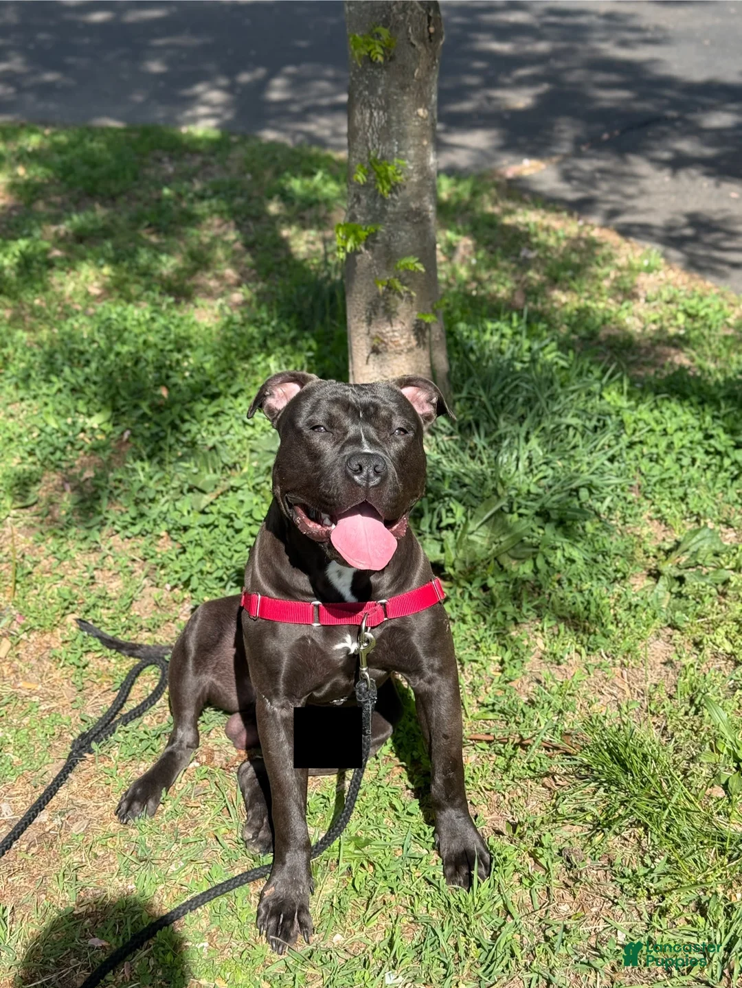 Gallery Image {{count}}