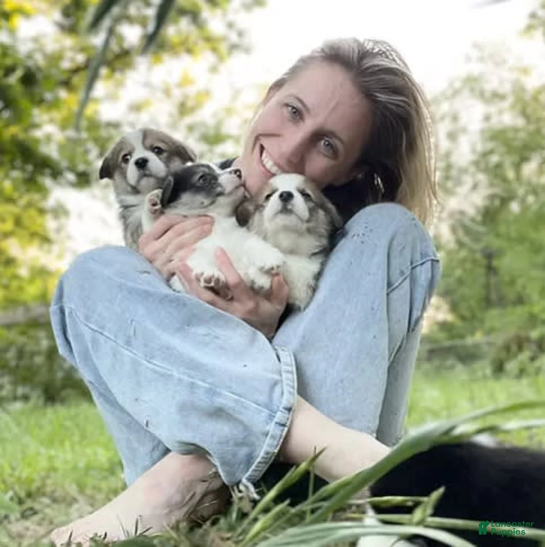 Gallery Image {{count}}