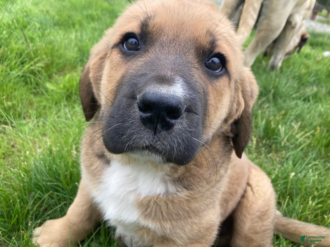 Gallery Image {{count}}