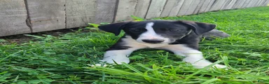 Winnie 