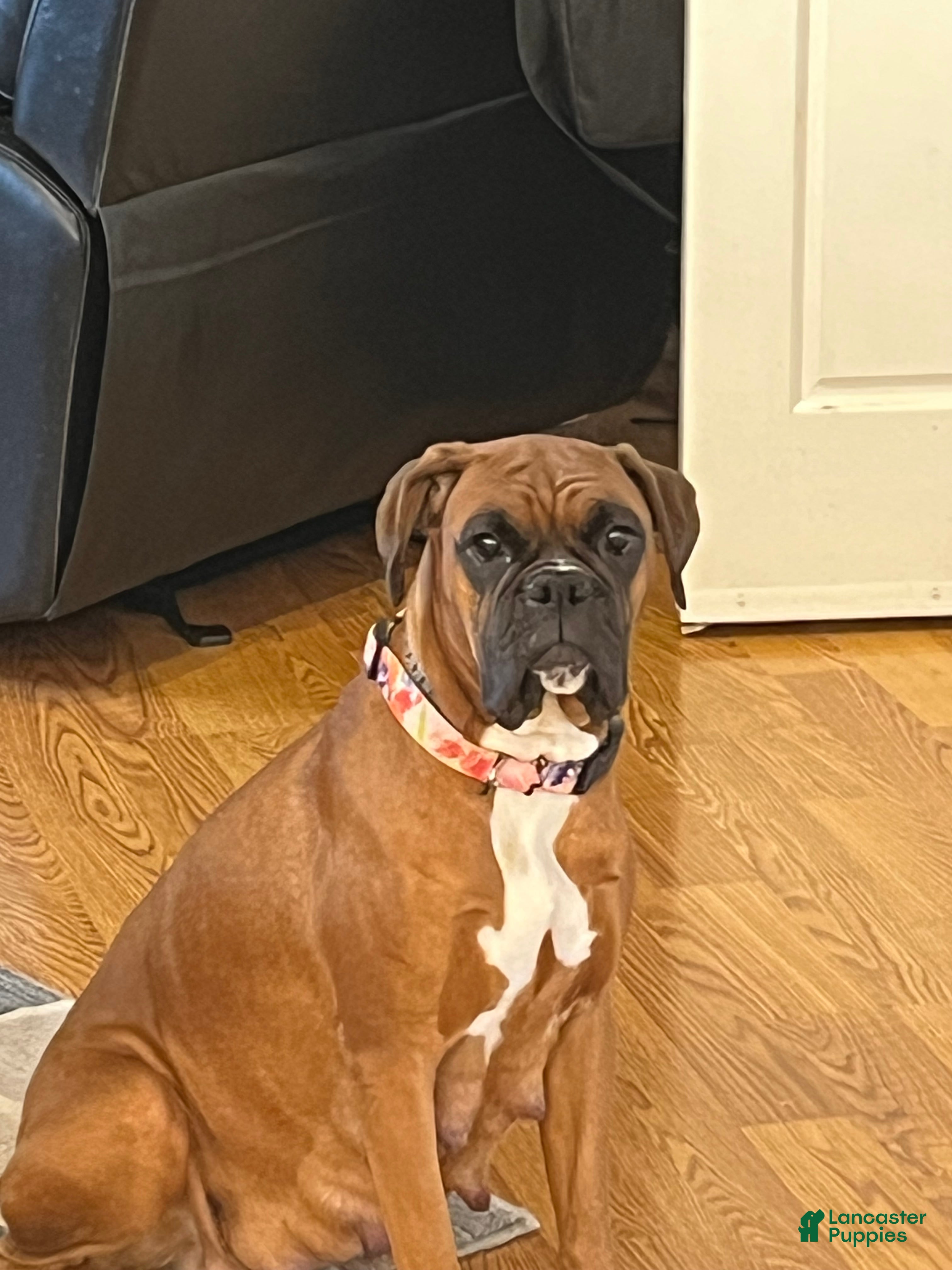 Ellie Mae Kent