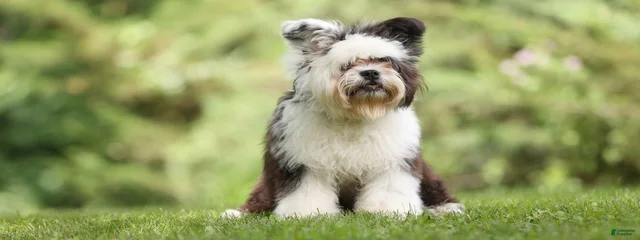 Eightball aka Milo