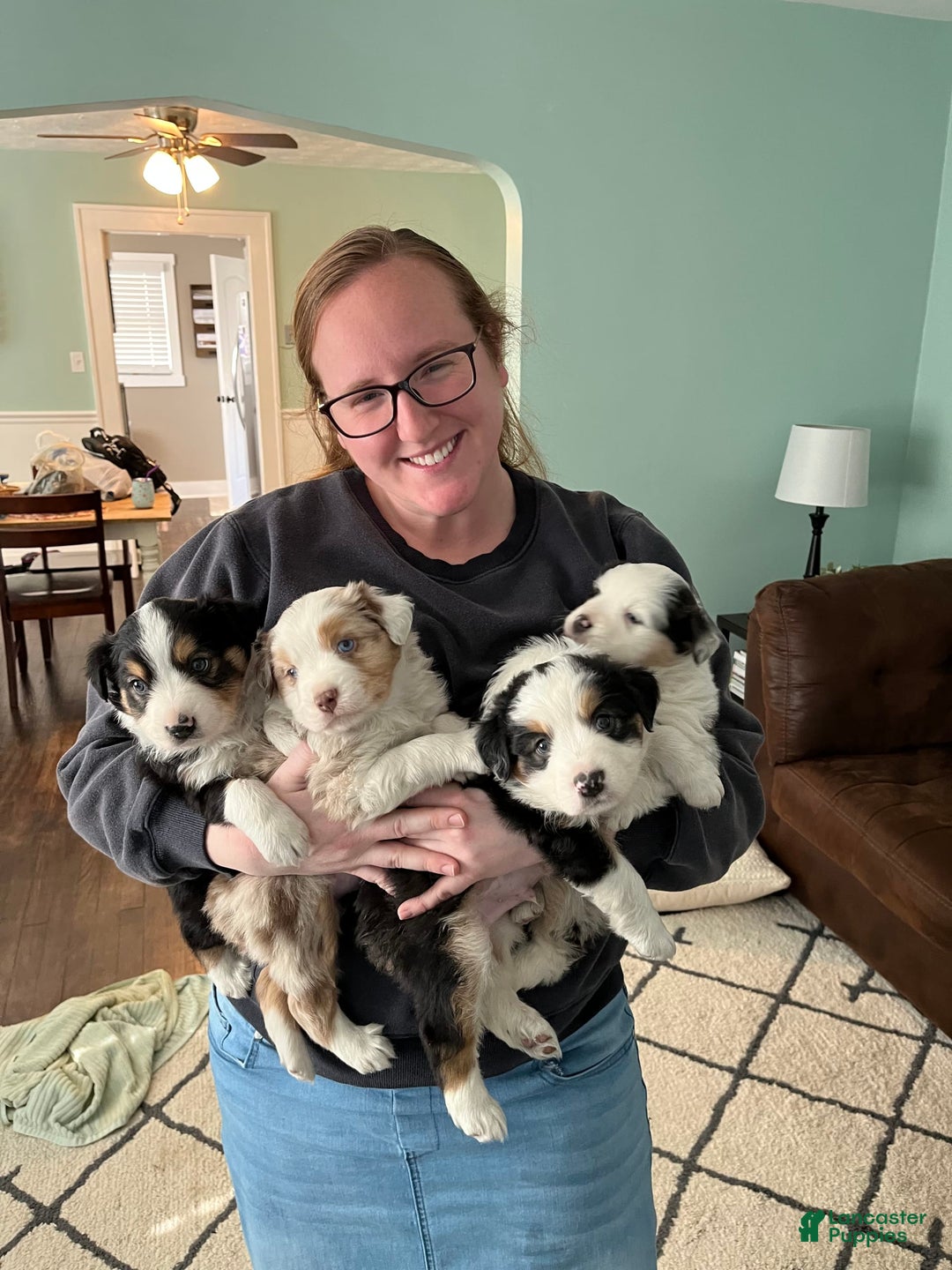 Gallery Image {{count}}