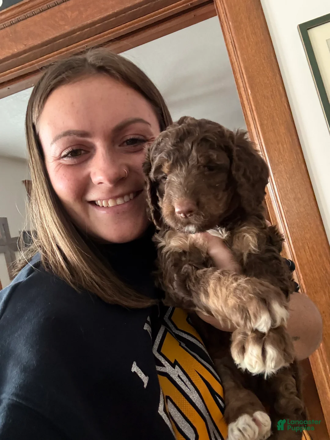 Saint Berdoodles dogs for sale: Blair - Ad 3