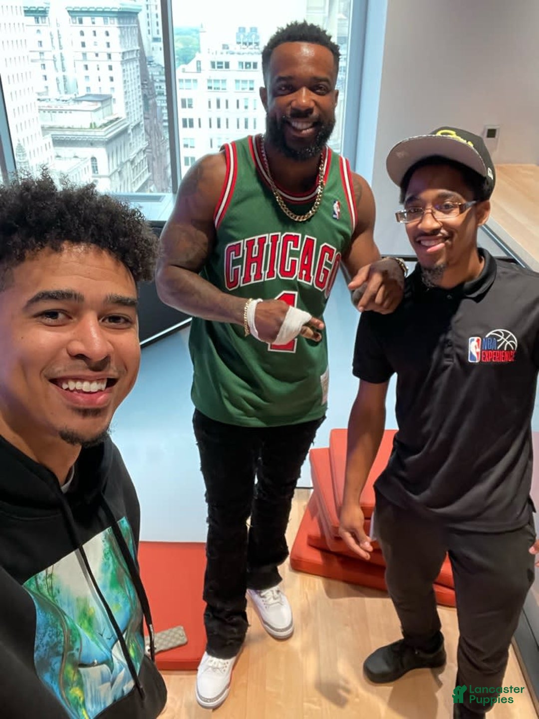 Gallery Image {{count}}