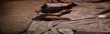 Al