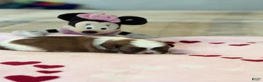 Minnie