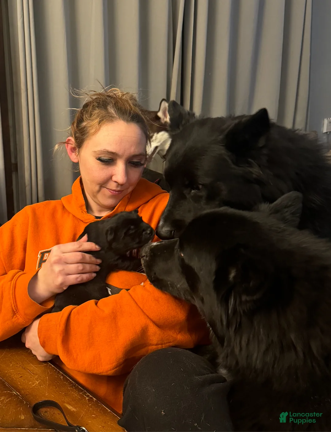 Gallery Image {{count}}