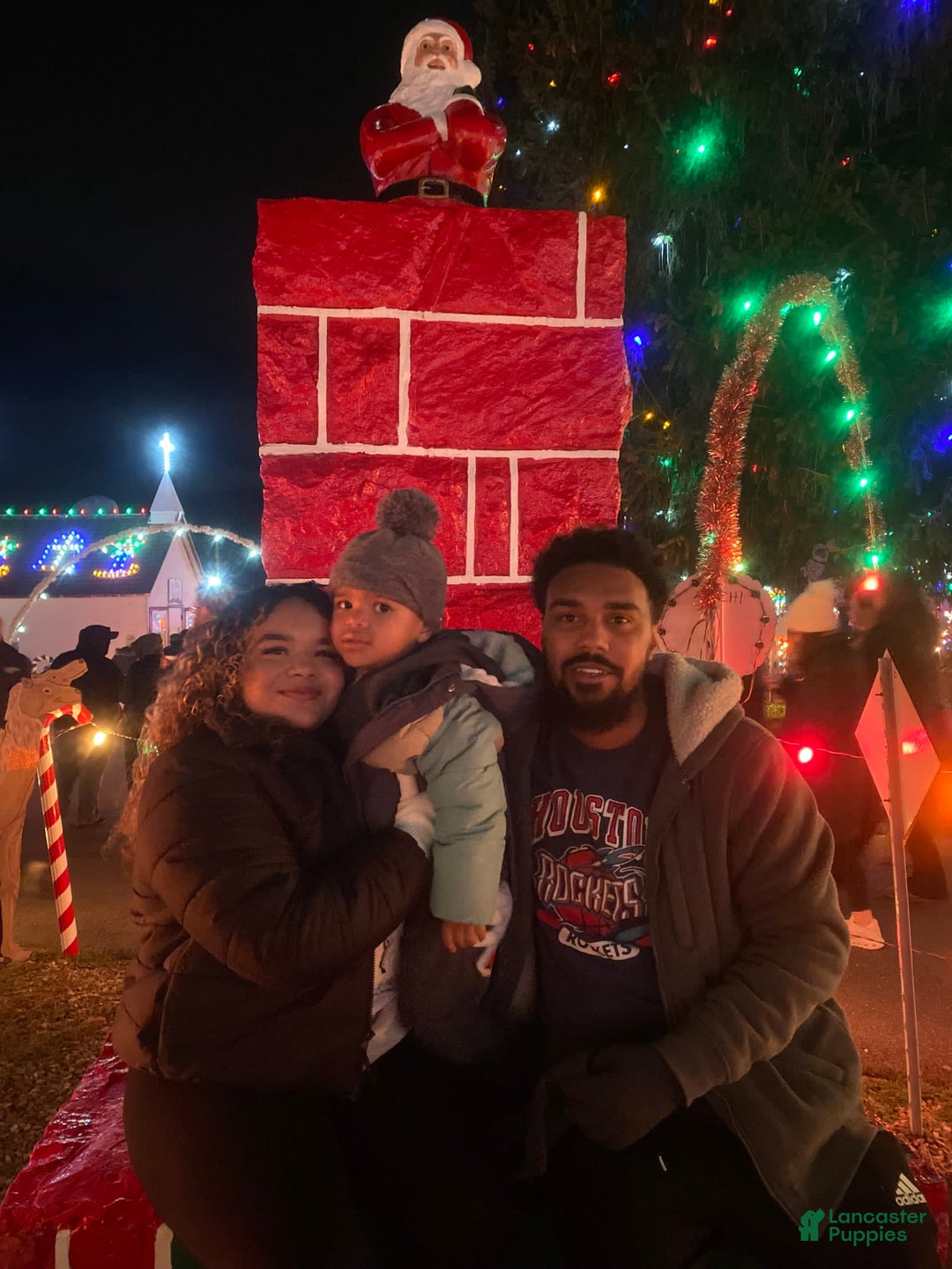 Gallery Image {{count}}