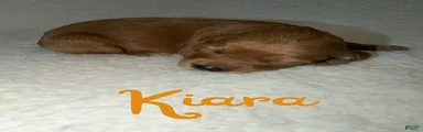 Kiara