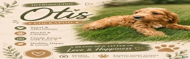 Otis