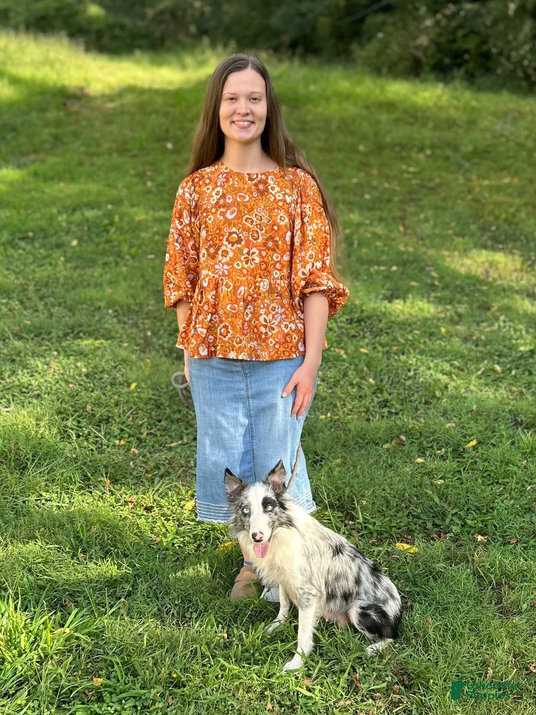 Border Collie dogs for sale: CeCe Winans - Ad 9